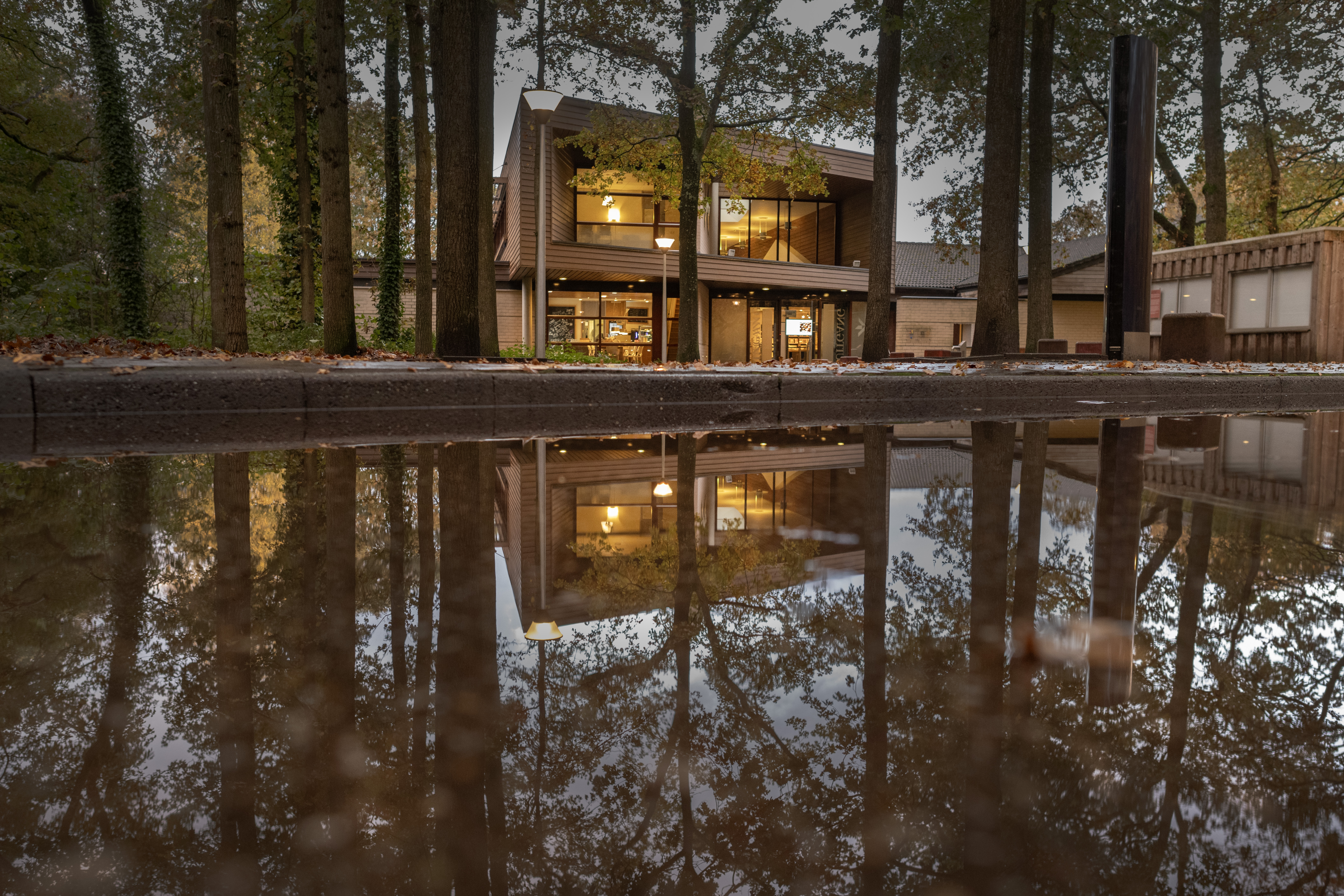 Openingstijden en rondleidingen tijdens de kerstvakantie