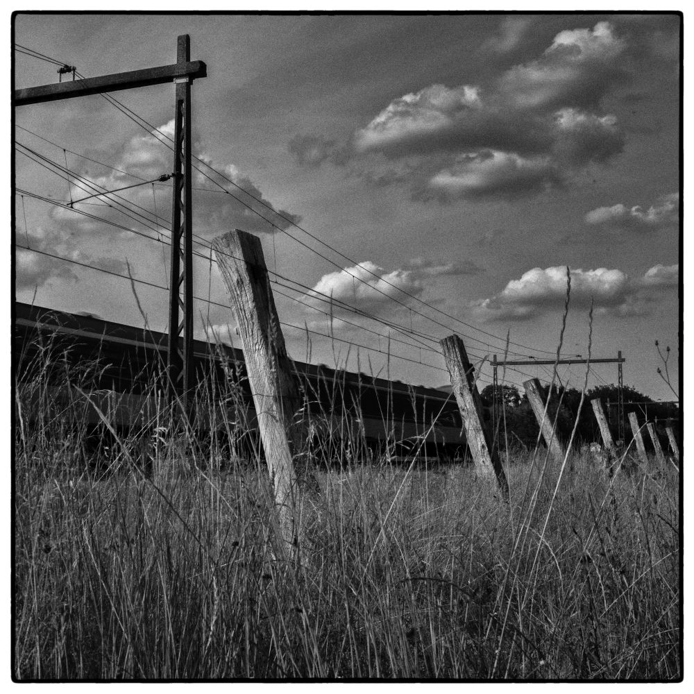 80 jaar na opnames Westerborkfilm: kinderen van Rudolf Breslauer herkend door fotograaf Sake Elzinga